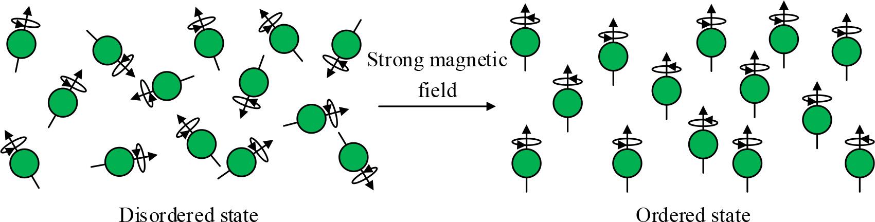 The change of atomic nuclei under a strong magnetic field