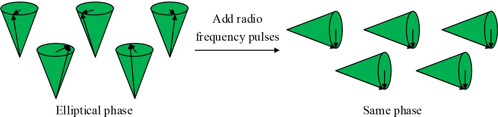 The phase change of the nucleus under RF pulse