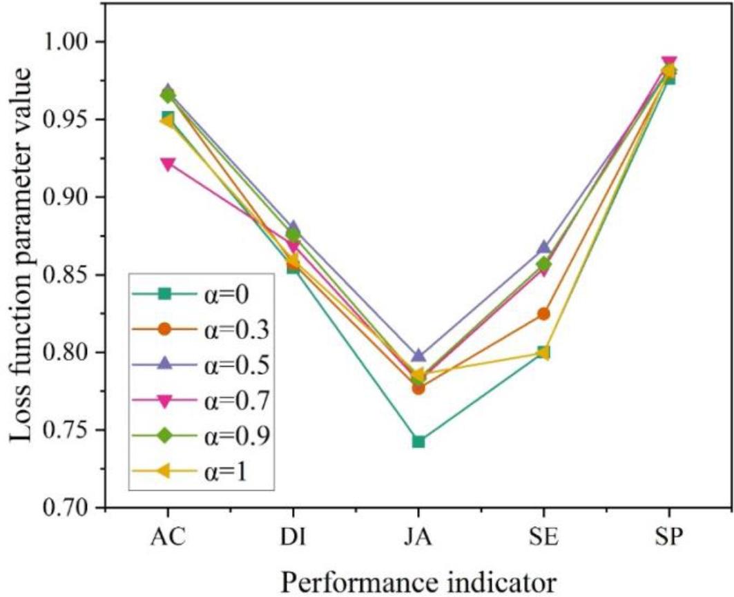 The loss function parameters compare the results of the experiment