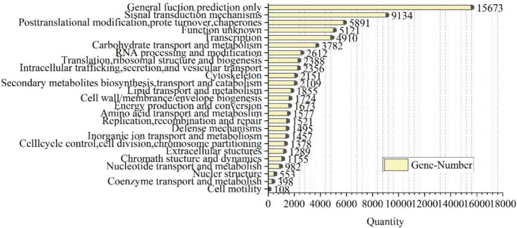 Statistical diagram of COG function distribution