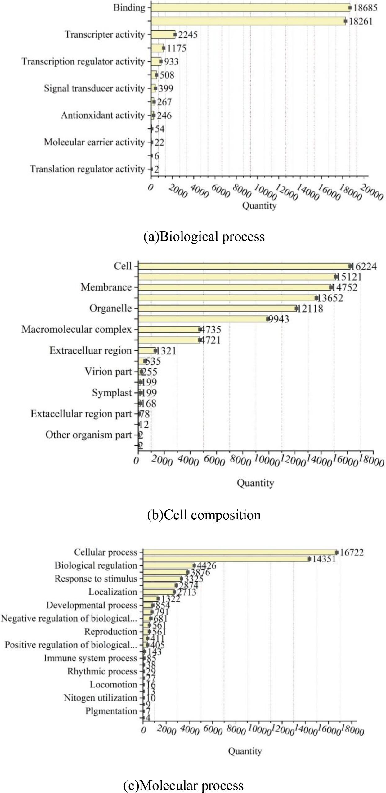 Statistical diagram of GO function distribution