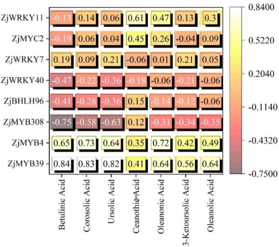 Correlation analysis