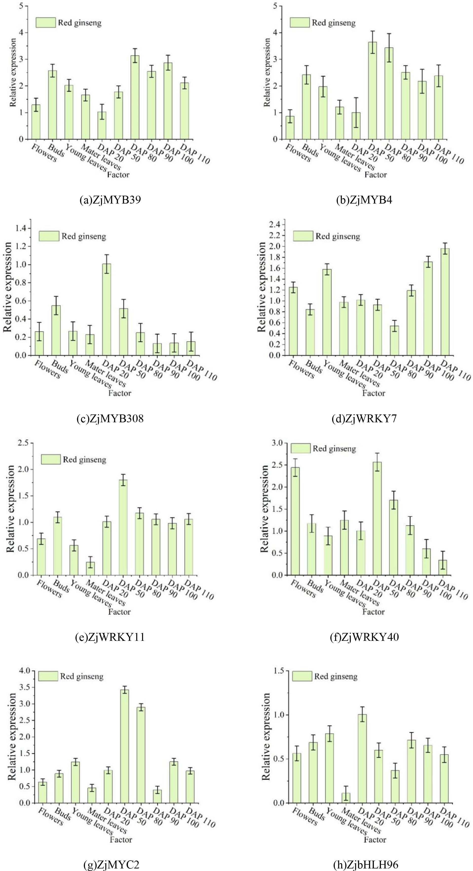 Expression patterns of transcription factors during the development of Zhi dan sheng