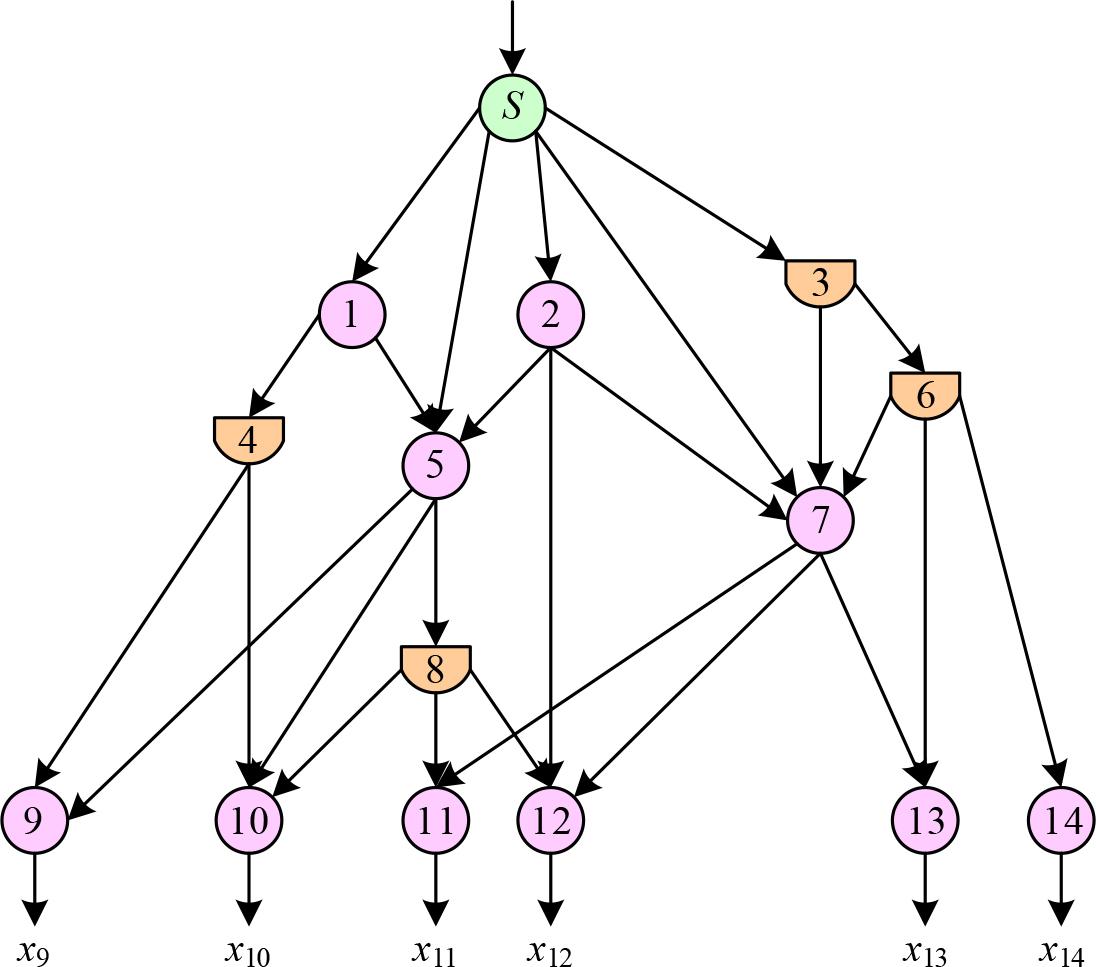 General Structure of the Distribution Network