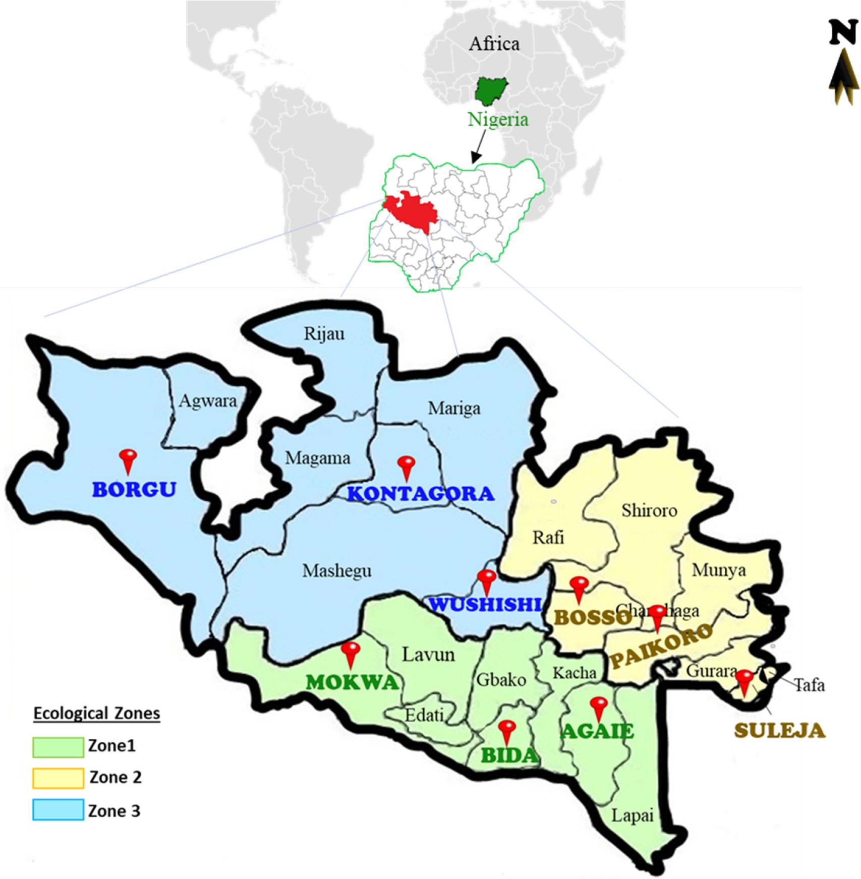 Map of Niger State showing study areas
Source: own design based on field work.