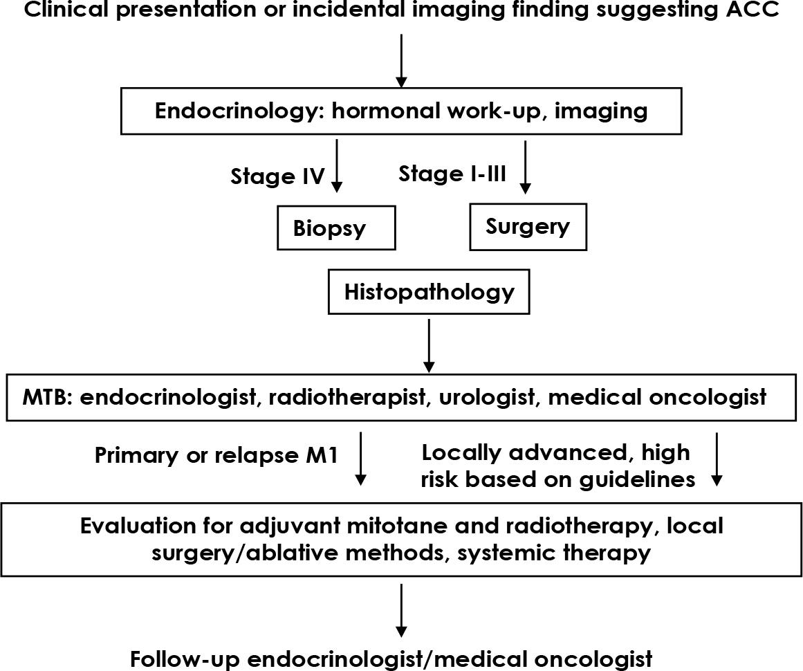 A patient flowchart describing the process of diagnostics and treatment decision-making.
ACC = adrenocortical carcinoma; MTB = multidisciplinary tumour board; M1 = metastatic disease