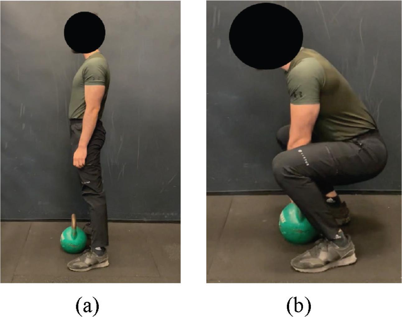 (a) Standing position and (b) lifting position.