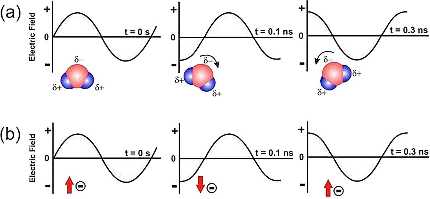 MW heating mechanism corresponding to (a) dipolar polarisation and (b) ionic conduction.