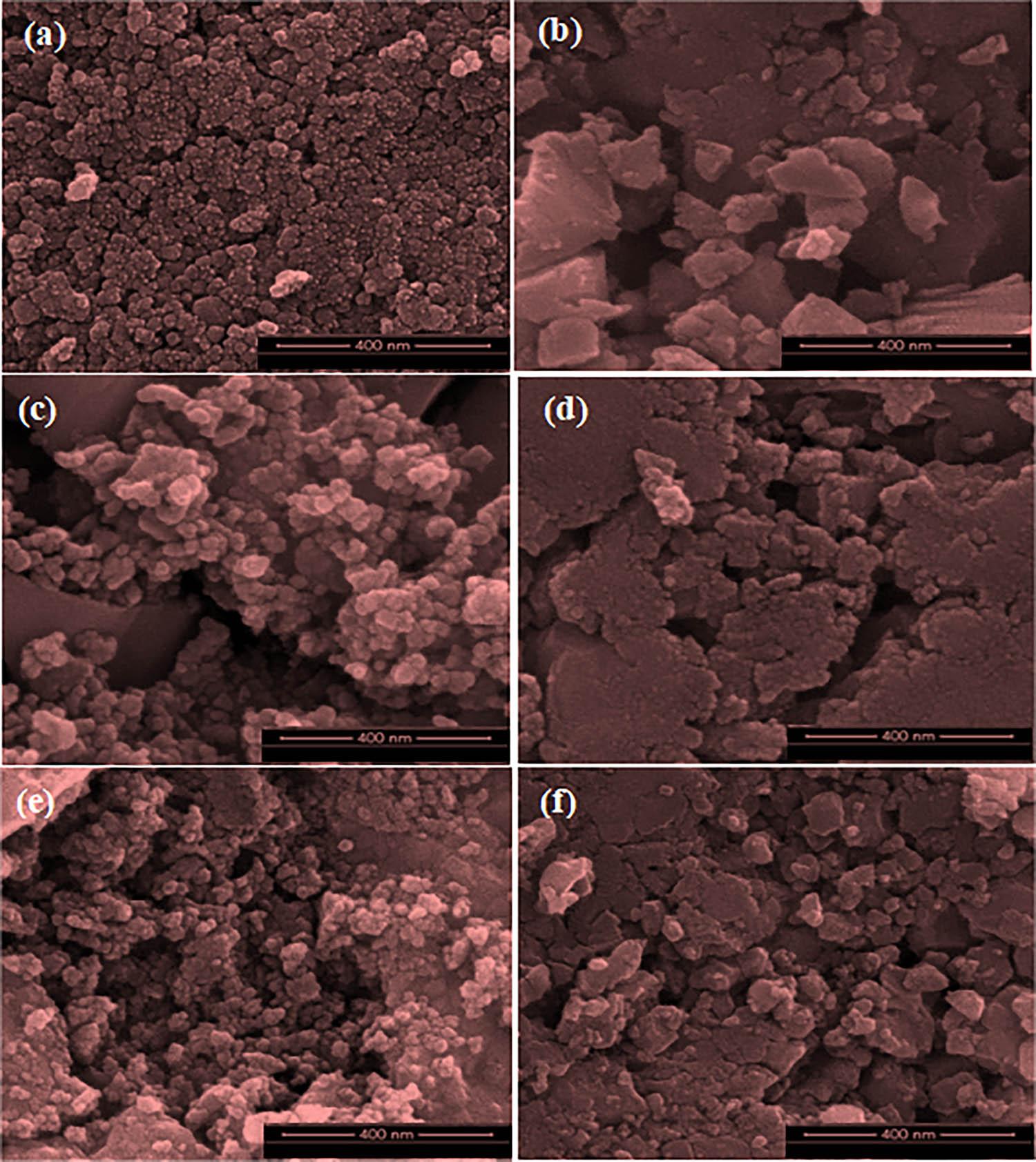 HR-SEM images of (a) Ni1Mg0Fe2O4, (b) Ni0.9Mg0.1Fe2O4, (c) Ni0.8Mg0.2Fe2O4, (d) Ni0.7Mg0.3Fe2O4, (e) Ni0.6Mg0.4Fe2O4, and (f) Ni0.5Mg0.5Fe2O4 samples.