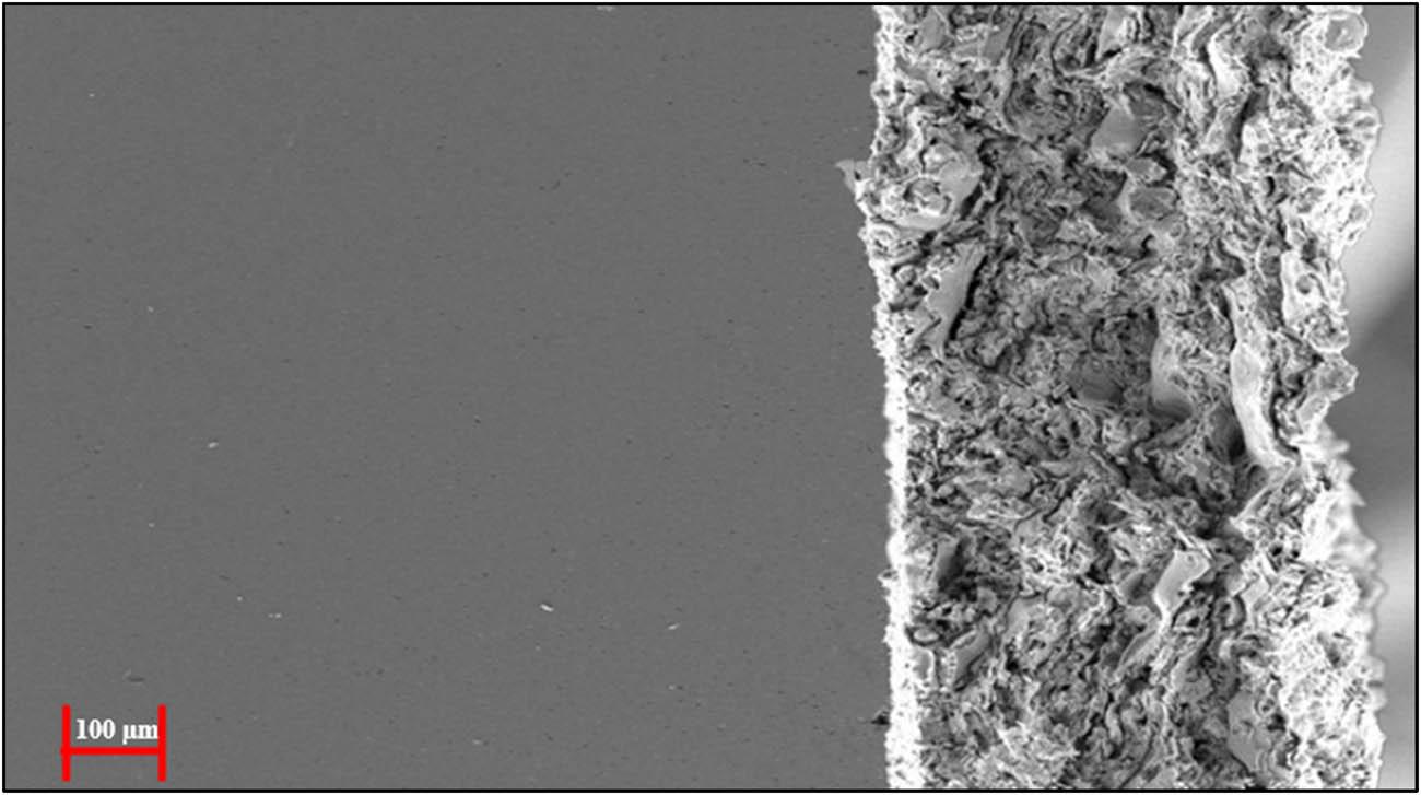 Cross-section SEM image after oxidation.