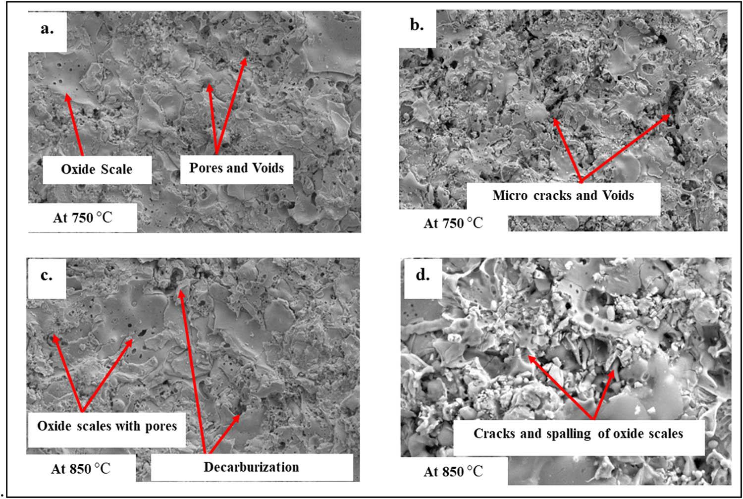 SEM images of Cr3C2–NiCr coated (a) SS 304L at 750°C, (b) SS 316L at 750°C, (c) SS 304L at 850°C, and (d) SS 316L at 850°C after the oxidation cycle.