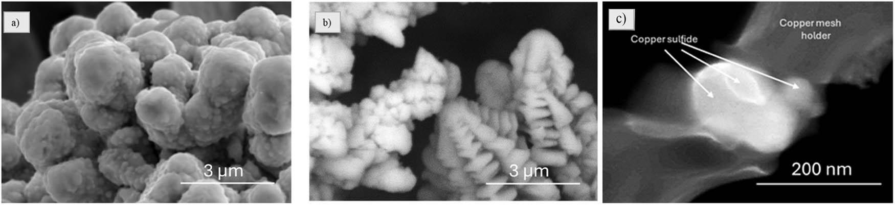 SEM images of copper (a), copper sulfide hierarchical structures (b), and copper sulfide nanostructures (c).