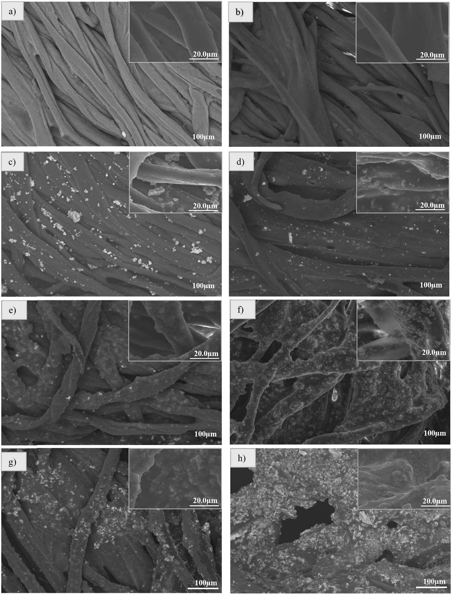 SEM images of membranes: (a) cotton, (b) cotton@PDMS, (c) hierarchical 1%, (d) nanostructures 1%, (e) hierarchical 2%, (f) nanostructures 2%, (g) hierarchical 4%, and (h) nanostructures 4%.