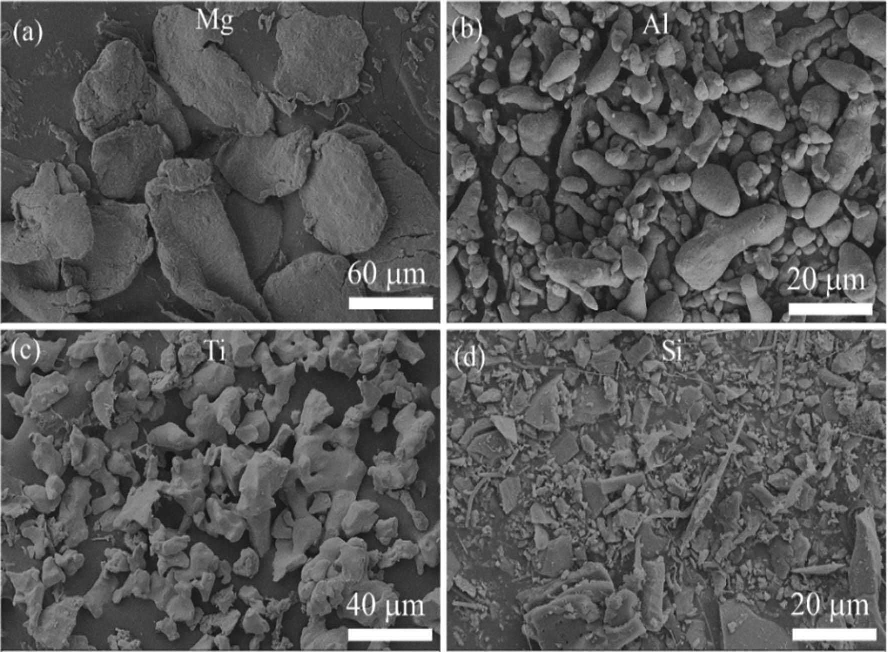 Surface morphology of as-received elemental powders used to synthesize LWHEA in this work by SEM: (a) Mg, (b) Al, (c) Ti, and (d) Si.