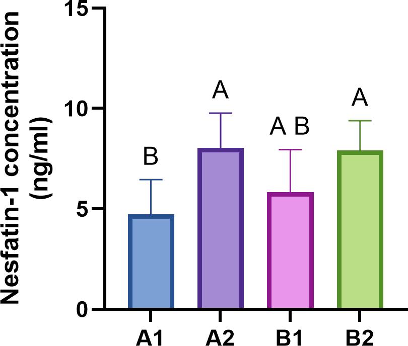 Concentrations of nesfatin-1 in peripheral blood from healthy bitches in optimal body condition (A1 and B1 groups) and overweight bitches (A2 and B2 groups). Bars represent the mean ± standard deviation. A and B – significant differences between groups (P-value < 0.05). A1 – younger bitches with optimal body weight (BCS = 4/9); A2 – younger confirmed overweight bitches (BCS > 5/9); B1 – elderly bitches with optimal body weight (BCS = 4/9); B2 – elderly confirmed overweight bitches (BCS > 5/9)