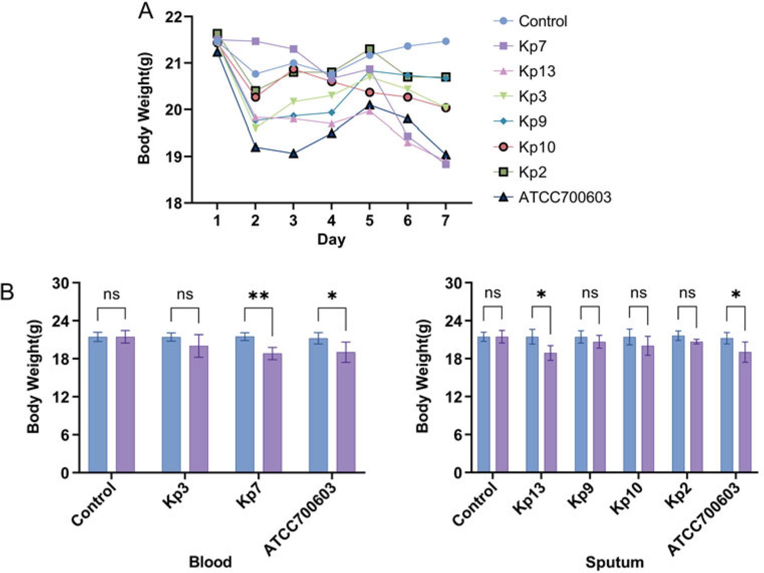 Weight change and survival analysis of mice infected with ST231 Klebsiella pneumoniae.
Six-week-old male C57BL/6 mice, grouped in trios, were inoculated intranasally with 30 μl of 108 CFU/ml bacterial suspension. Health monitoring occurred daily for seven days.
a)Daily average weight fluctuations among mice infected with different ST231 K. pneumoniae strains;
b)comparison of mouse weight between day 1 and day 7 for different ST231 K. pneumoniae strains.
* – p < 0.05, ** – p < 0.01.
The standard strain ATCC® 700603™ as a positive control.
