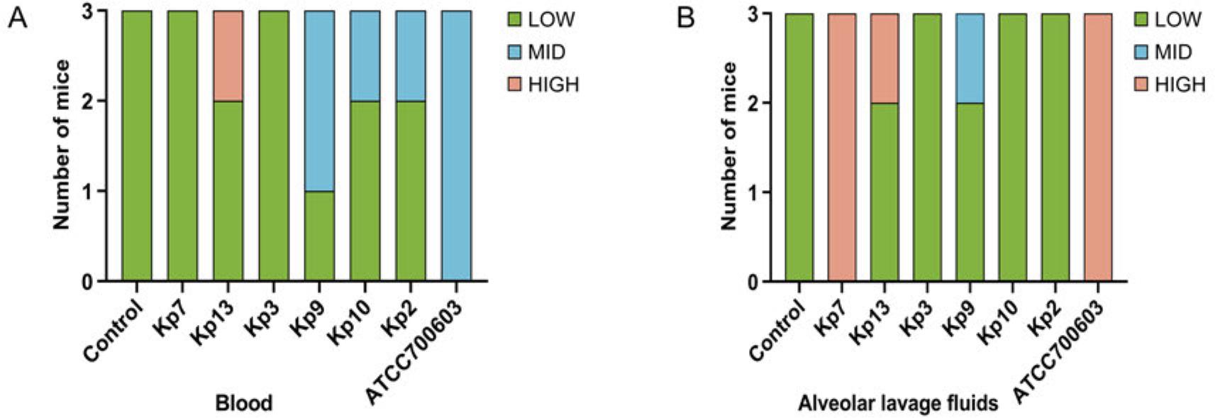 Colony count analysis in mouse alveolar lavage fluids and blood samples post infection.
The growth levels, categorized into low (< 30%), medium (30–60%), and high (> 60%) based on percentage colony formation.
a)The colony counts from cultures of blood samples collected from mice;
b)the colony counts from cultures of alveolar lavage fluids obtained from mice.