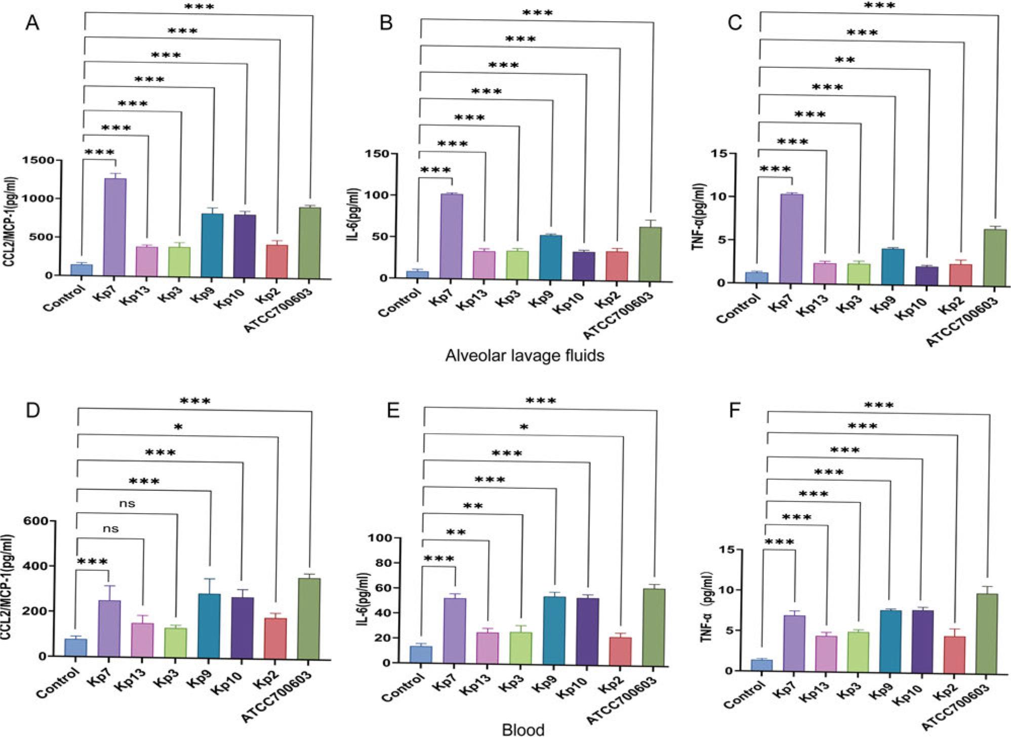 Inflammatory response to ST231 infection in mice.
The levels of key inflammatory markers (CCL2/MCP-1, IL-6, and TNF-α) were quantified in the alveolar lavage fluid (a-c) and blood (d-f) of infected mice. The data from nine independent experiments.
* – p < 0.05, ** – p < 0.01. *** – p < 0.001. The standard strain ATCC® 700603™ as a positive control.