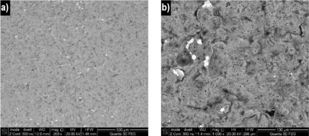 Blade surface morphology - new, not heated: a) BSE-TOPO; b) BSE
