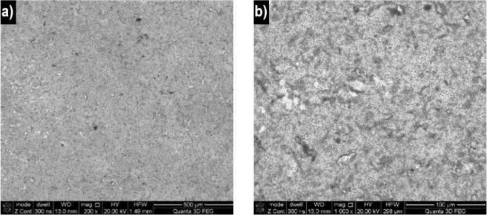 Blade surface morphology at 1123 K: a) BSE-TOPO; b) BSE