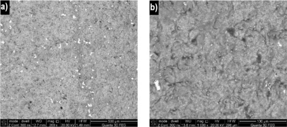 Blade surface morphology at 1223 K: a) BSE-TOPO; b) BSE