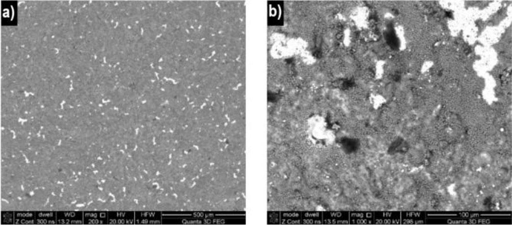 Blade surface morphology at 1323 K: a) BSE-TOPO; b) BSE