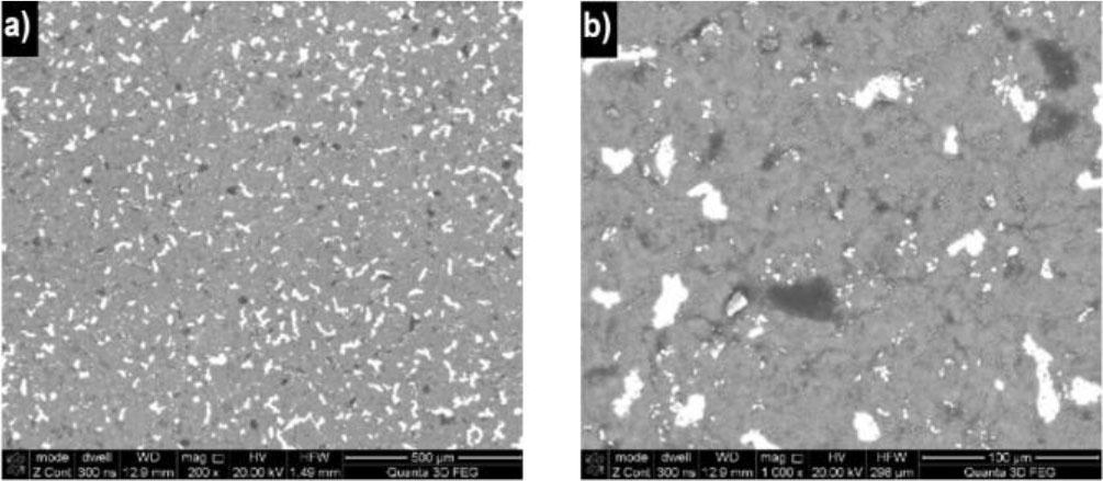 Blade surface morphology at 1423 K: a) BSE-TOPO; b) BSE