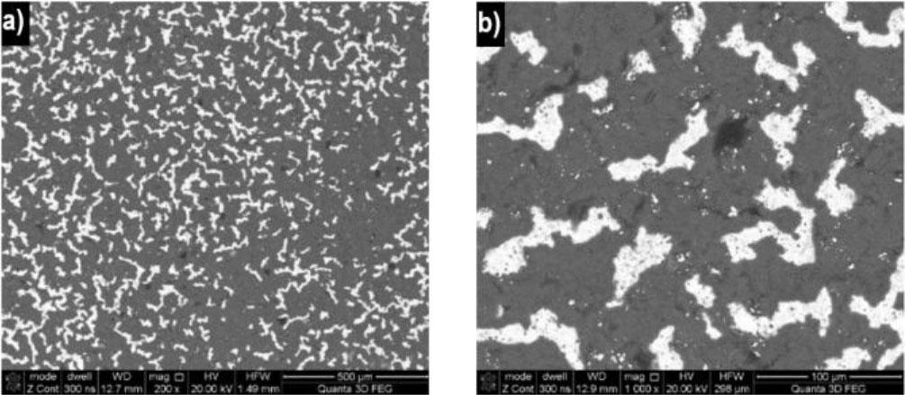Blade surface morphology at 1523 K: a) BSE-TOPO and b) BSE