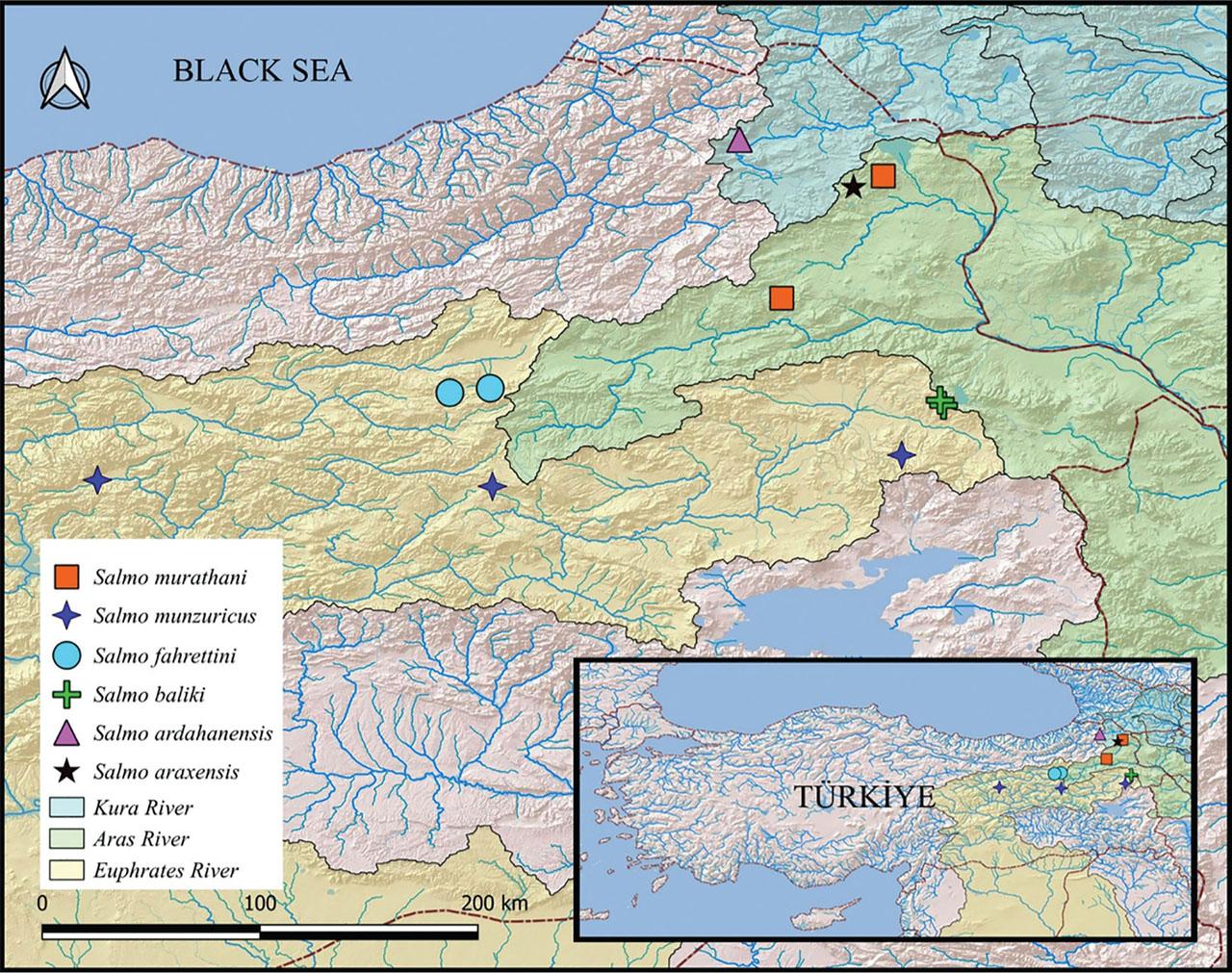 The sampling sites where the material examined for this study was collected.