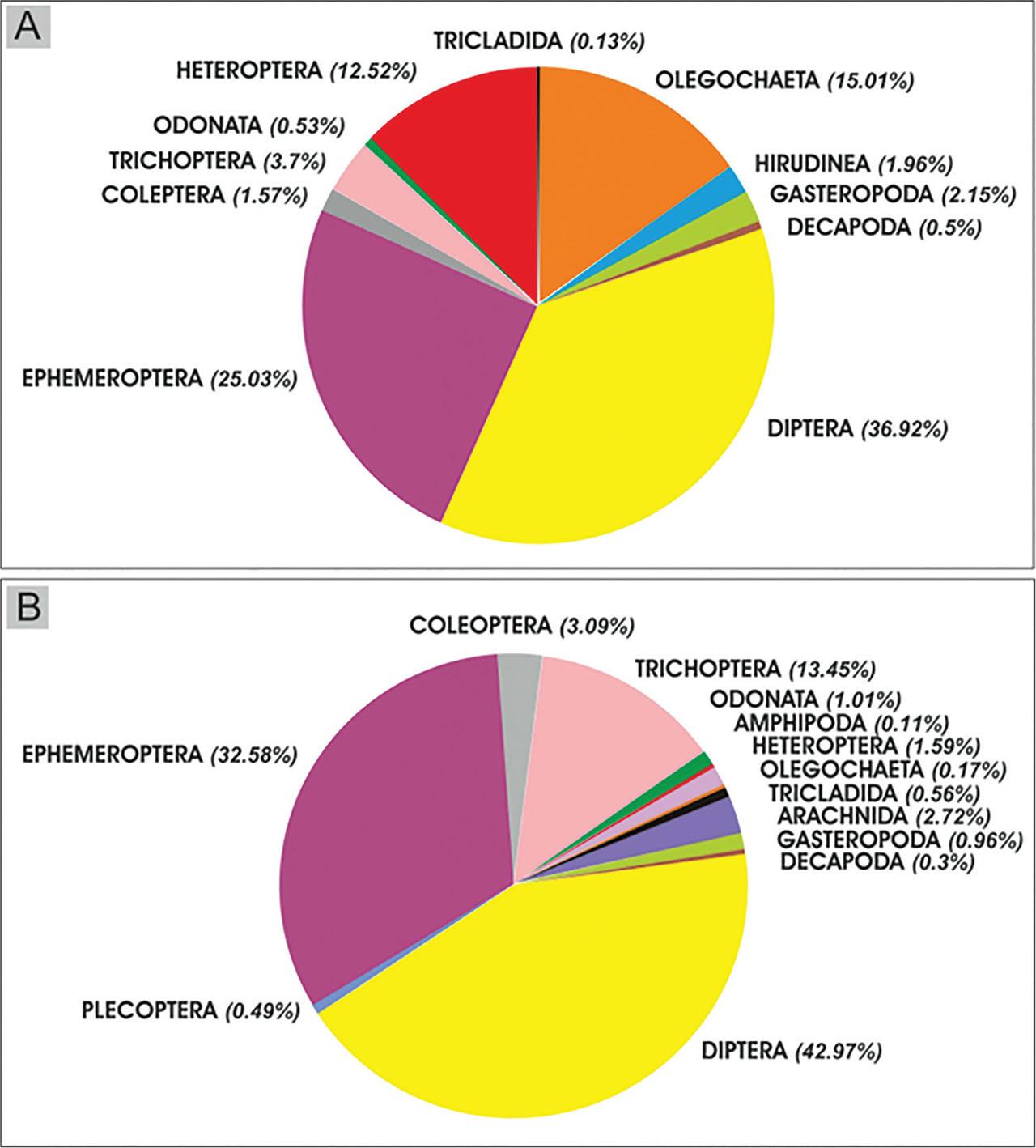 Relative composition in macroinvertebrate orders in stations above (A) and below (B) the Beni Haroun dam.