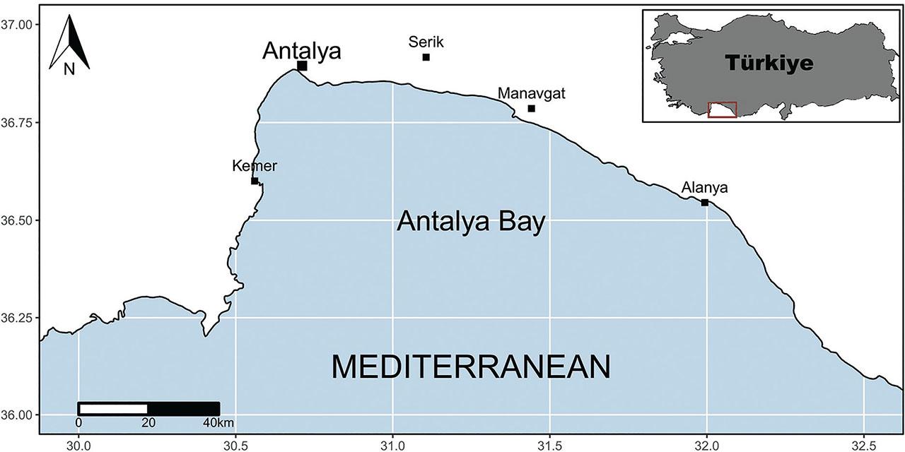 Map showing the location of fish samples collection from Antalya Bay, Mediterranean coast of Türkiye.