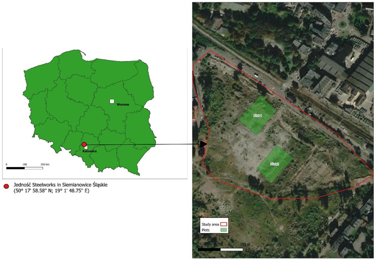 Location of the study area and plots against the background of Poland and the Silesian Voivodeship.