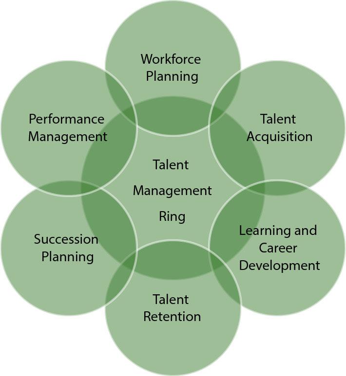 Ozougwu’s Talent Management RingSource: own study (2025).