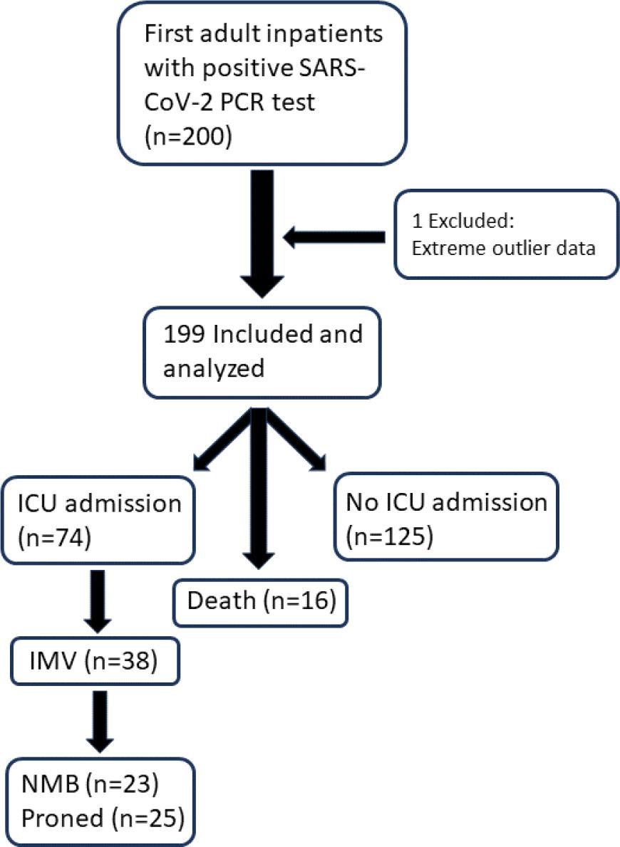 Flowchart of study subject selection and clinical outcomes. ICU = Intensive Care Unit; IMV = invasive mechanical ventilation; NMB = neuromuscular blockade.
