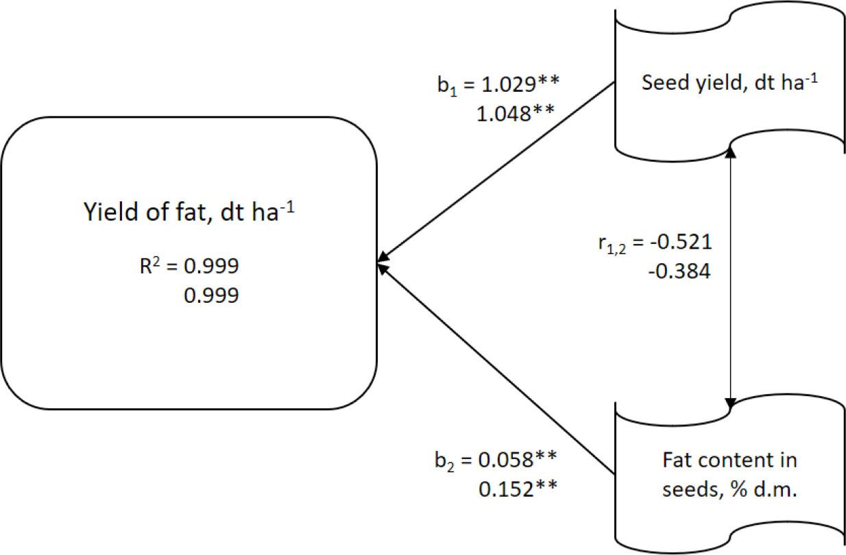 Path analysis results for variables determining fat yield (2022–2024).
The subsequent numbers refer to the control and Si + Ca. R2 – coefficient of determination, bi denote path coefficients, i.e. regression coefficients for standardized variables, ri,j denote correlation coefficients between individual causal features. * denotes a statistically significant relationship at a significance level of 0.05, while ** denote a statistically significant relationship at 0.01.