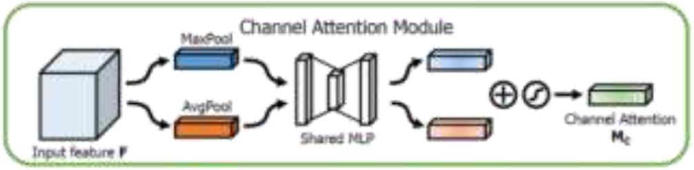 CAM Attention Mechanism Diagram