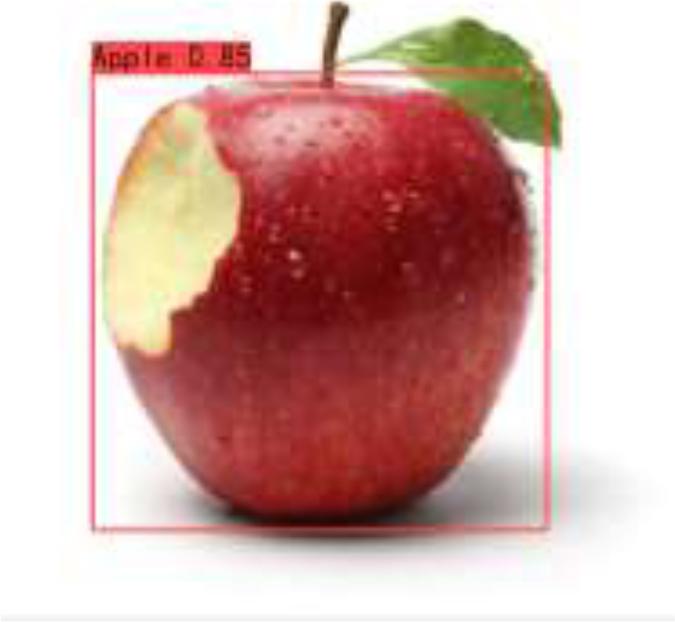 Apple experiment result