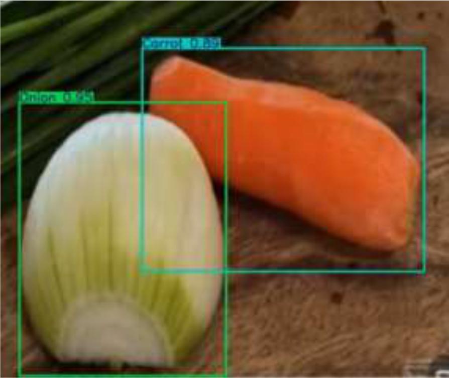 Results of Onion and Carrot experiments