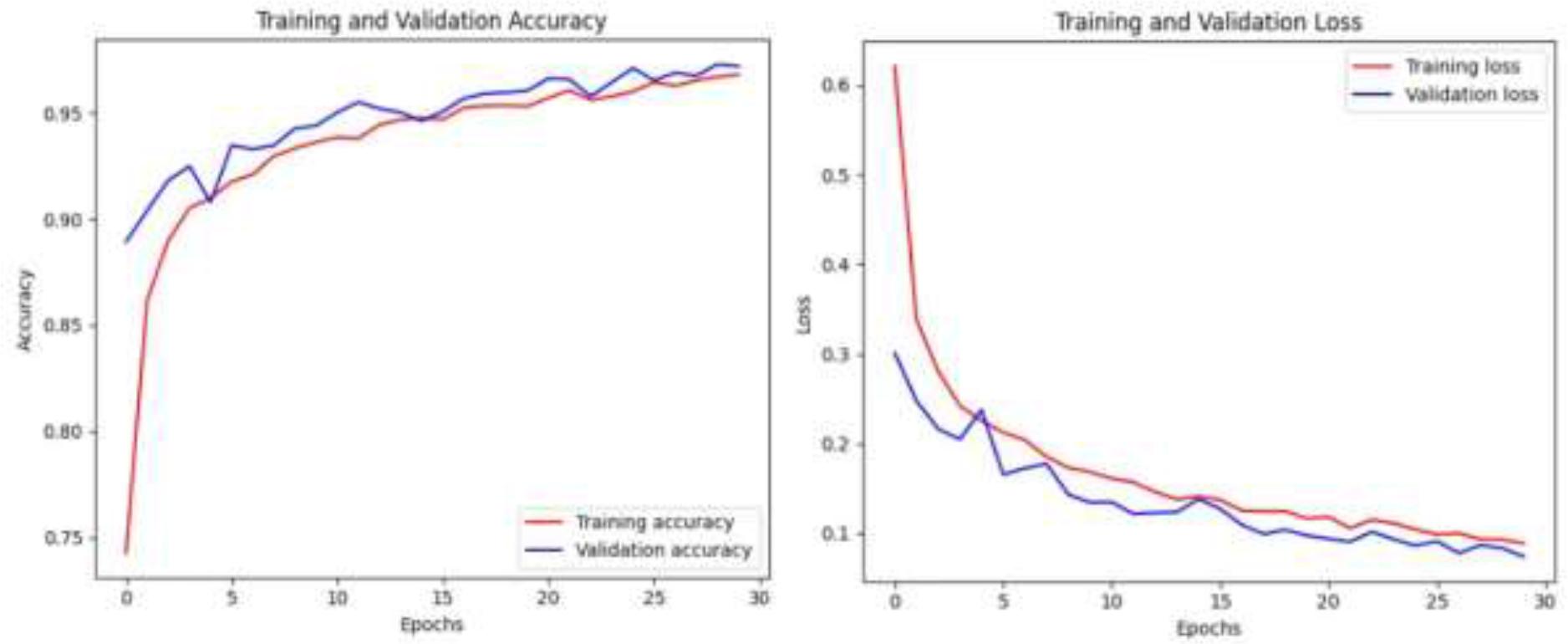 Accuracy and Loss Curves of the ResNet50
