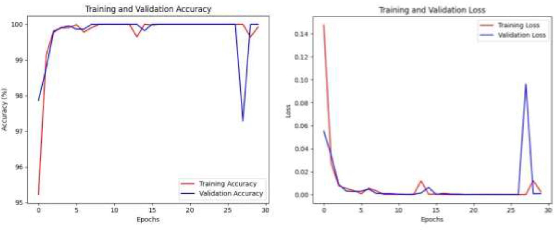 Accuracy and Loss Curves of the DeiT