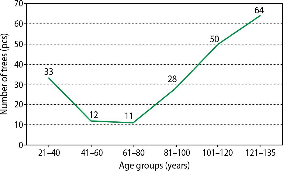 Quantitative characteristics of trees by the age structure