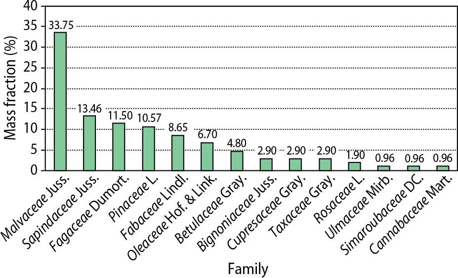 Structure of age-old trees by family affiliation (%)