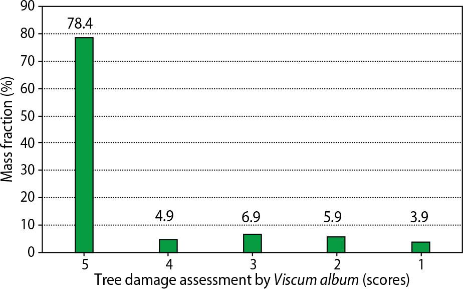 Assessment of damage to age-old trees by Viscum album in the V.V. Pashkevych arboretum (scores)