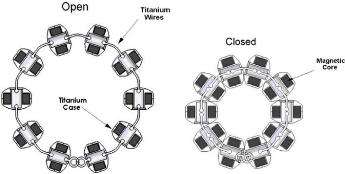 Cross section of the LINX device in open and closed positions. Lipham, J. C., DeMeester, T. R., Ganz, R. A., Bonavina, L., Saino, G., Dunn, D. H., Fockens, P., & Bemelman, W. (2012). The LINX reflux management system: Confirmed safety and efficacy now at 4 years. Surgical Endoscopy, 26(10), 2944–2949.