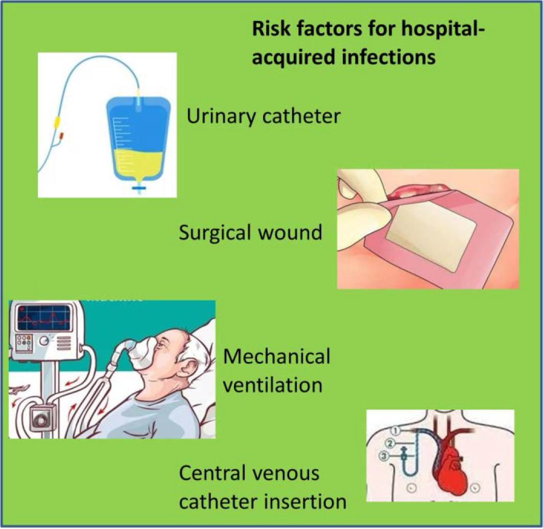 Risk Factors for the Development of Hospital Infections