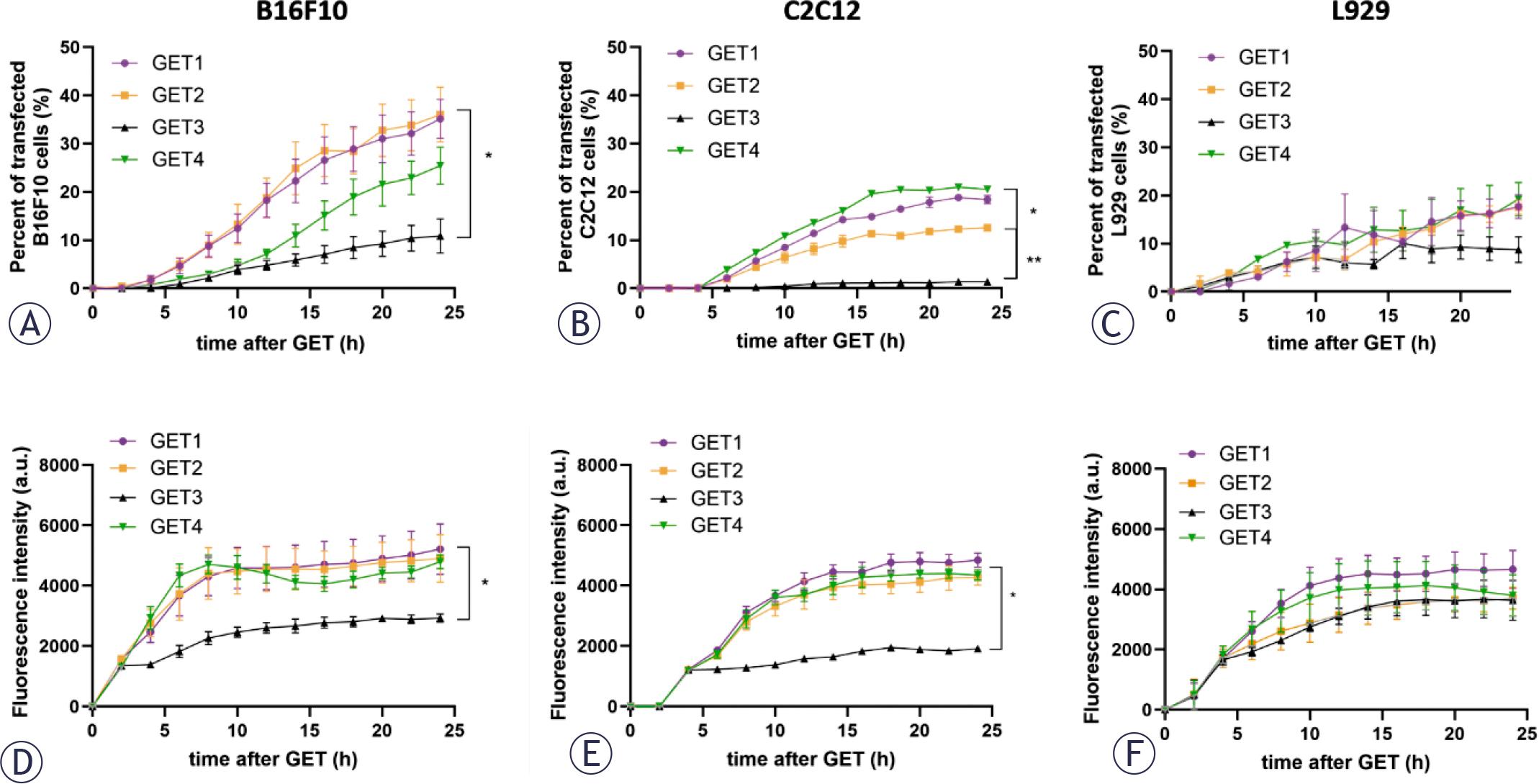 The transfection efficiency timeline of different cell lines according to the gene electrotransfer (GET) protocol. Percent of transfected B16F10 (A), C2C12 (B) and L929 (C) cells and fluorescence intensity of B16F10 (D), C2C12 (E) and L929 (F) cells.
*p < 0.05, statistically significant difference in GET1/GET2 compared with GET4 (A); *p < 0.05, statistically significant difference in GET1/GET4 compared with GET3 and GET2 (B); **p < 0.05, statistically significant difference in GET2 compared with GET3 (B); *p < 0.05, statistically significant difference in GET1/GET2/GET4 compared with GET4 (D and E)