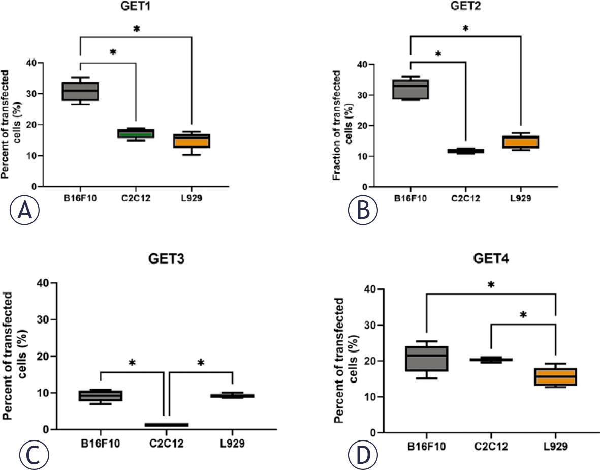 Transfection efficiency of different pulse parameter protocols in three different cell lines. Percent of transfected tumor (B16F10) and normal (C2C12, L929) cells after GET1 (A), GET2 (B), GET3 (C) and GET4 (D) treatment.
*p < 0.05 indicates a statistically significant difference; GET = gene electrotransfer