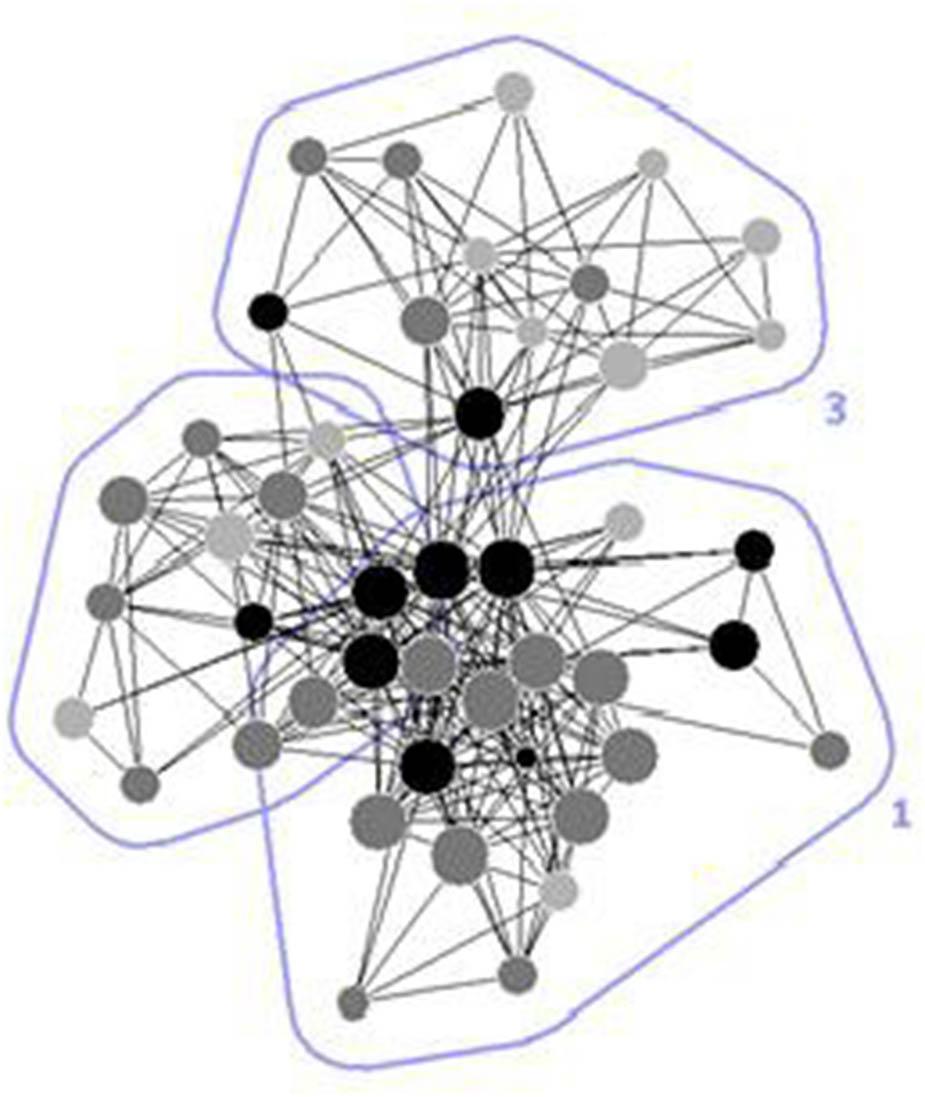 The personal network of a Dominican male in Barcelona. Color gradation refers to the emotional closeness, and the different clusters numbered to different social settings (family ties, job, and softball).