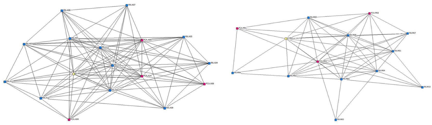 Sociogram of network density for any patient-related communication. Note: In these sociograms of network density, the AAU appears on the left and is a denser network. The less-dense MSU network is on the right. Blue nodes represent RNs, pink nodes represent PCAs, and yellow notes represent other care team workers. AAU, acuity adaptable unit; MSU, medical-surgical unit; PCAs, personal care assistants; RNs, registered nurses.