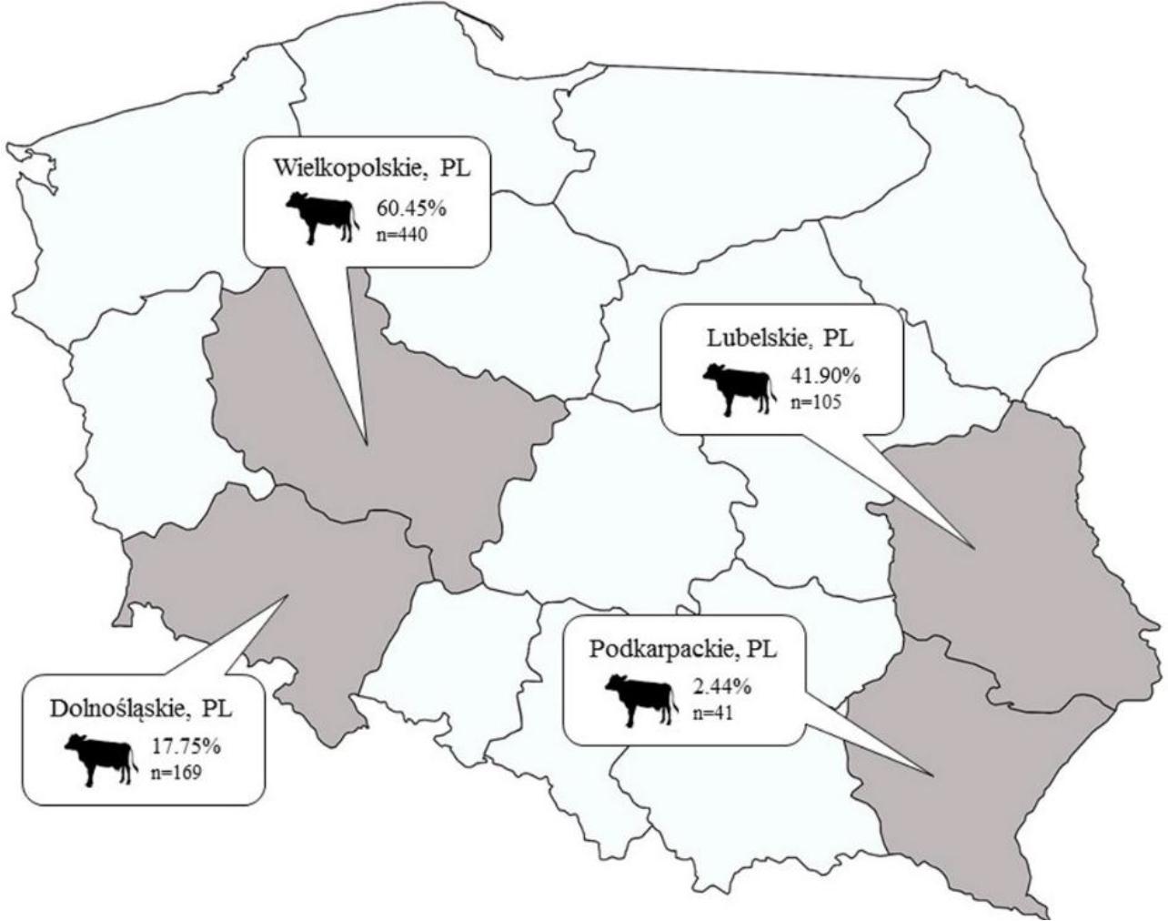 Voivodeship map of Poland. Grey shading indicates the regions of origin of cattle tested for anti–influenza D virus antibodies. The number of cattle tested and corresponding seroprevalence are provided for each region